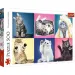 Cicák 500db-os puzzle - Trefl