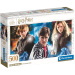 Harry Potter Roxfort hősei HQC 500db-os puzzle - Clementoni