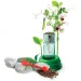 Science&amp;Play: Hidroponikus botanikai labor - Clementoni