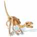 Velociraptor régész készlet
