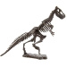 Dinoszauruszos régészeti készlet többféle változatban 1db