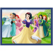 Disney Hercegnők - 4 az 1-ben puzzle 4 x 88 db-os - Trefl