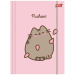 Pusheen pink gumis mappa A/4-es méret