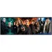 Harry Potter - A varázsvilág harcosai 1000 db-os panoráma puzzle poszterrel - Clementoni