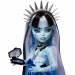 Monster High™: Szörnyen jó barátok titkai -  Rémbuli Frankie Stein baba meglepetés kiegészítőkkel - Mattel