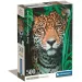 Jaguár HQC 500db-os Compact puzzle - Clementoni
