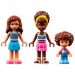 LEGO® Friends: Aquapark (41720)