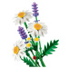 LEGO® Botanicals: Százszorszépek (11508)