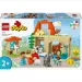 LEGO® DUPLO®: Állatok gondozása a farmon (10416)