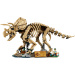 LEGO® Jurassic World™: Dinoszaurusz maradványok: Triceratops (77985)