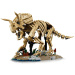 LEGO® Jurassic World™: Dinoszaurusz maradványok: Triceratops (77985)