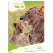 Ars Una: Máté Bence Icons of the Wild-Lions A/4 gumis dosszié