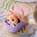 Little Live Pets: Cicus kosárban kicsinyeivel