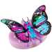 Little Live Pets: Rare Wings pillangó