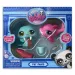 Littlest Pet Shop Dupla kisállat figura csomag több változatban