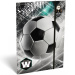 ICO: Lizzysuli Top League FTW gumis mappa A/5