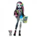 Monster High baba - Szörnyen új Frankie Stein - Mattel