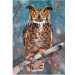 Nagy szarvas bagoly 500db-os puzzle - Castorland