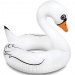 Óriás Fehér hattyú felfújható úszógumi 122x122x110cm