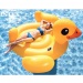 Intex: Óriás sárga kacsa úszó sziget kapaszkodóval