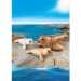 Playmobil: Fóka kicsinyeivel (9069)