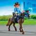 Playmobil: Rendőrló szállítás (6922)