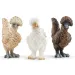 Schleich: Farm World - Csirke barátok figura szett (42574)