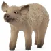 Schleich: Mangalica kismalac figura (14893)