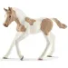 Schleich: Paint horse csikó figura (13886)