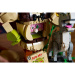 LEGO®: Shrek, Szamár és Csizmás Kandúr (72423)