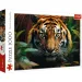 Tigris a vadonban 1000db-os HQ puzzle kirakó - Trefl