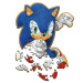 Sonic villámgyors kihívása – 50db-os fa puzzle - Trefl