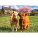 Barátok a farmon 500db-os puzzle - Trefl