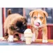 Fagyizó kutyakölykök 500db-os prémium puzzle - Trefl