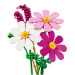 LEGO® Botanicals: Pillangóvirágok (11514)