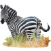 WOW zebra puzzle 1000db-os